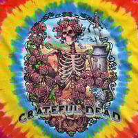 Image 2 of GRATEFUL DEAD RAINBOW BERTHA TIE DYE SHORT SLEEVE 