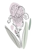 Image 4 of Iris - Illustrated Greeting Card