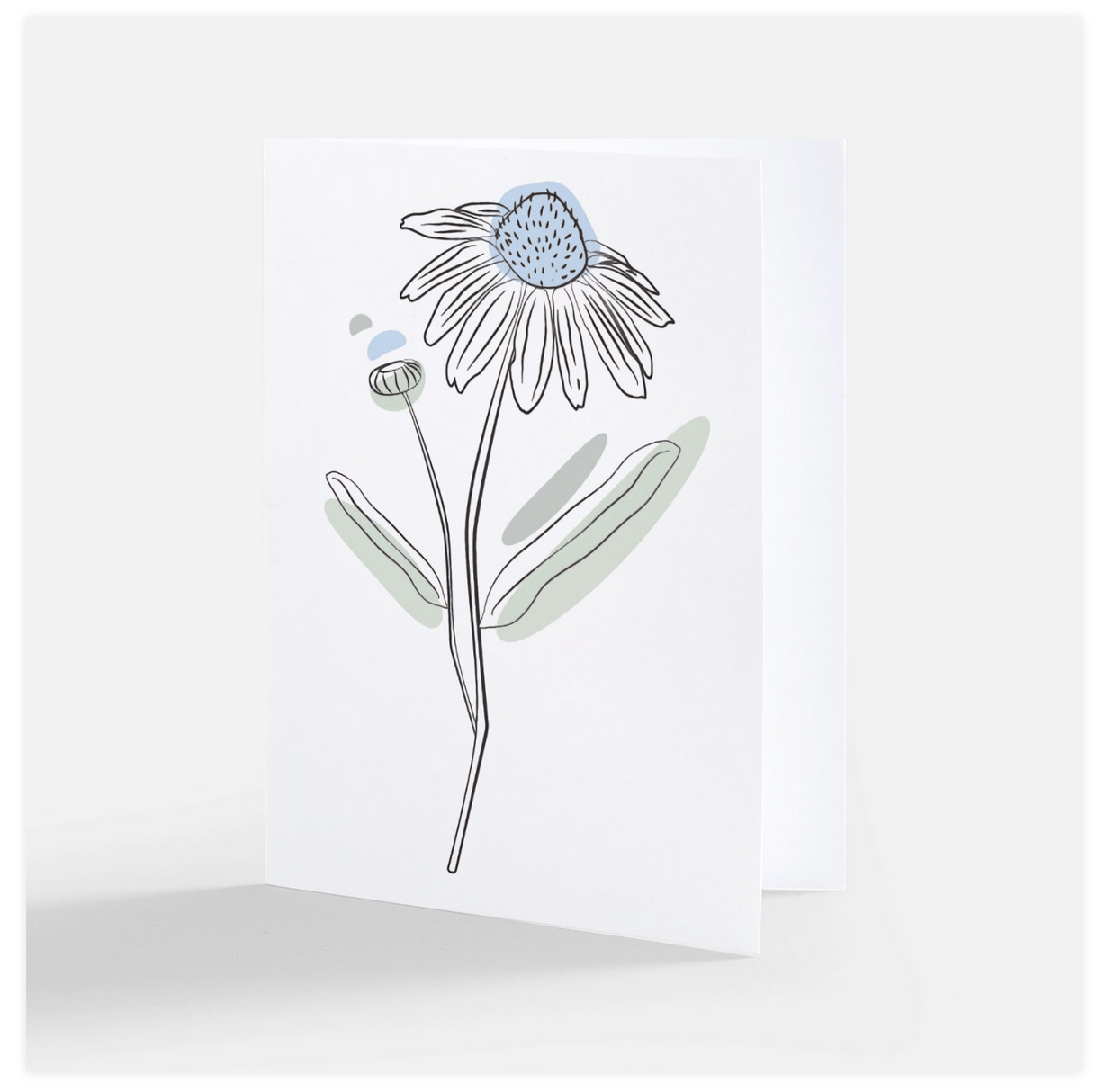 Image of Cone Flower - Illustrated Greeting Card