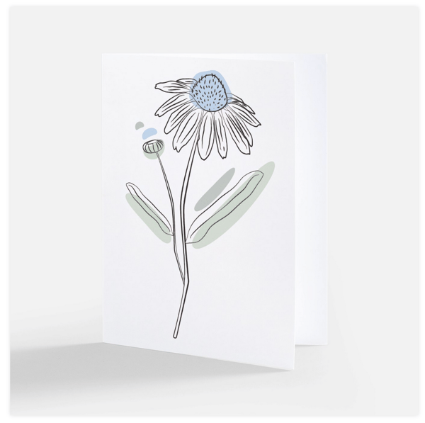 Image of Cone Flower - Illustrated Greeting Card