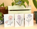 Image 1 of Blackline Flowers - Illustrated Greeting Card 3 Pack