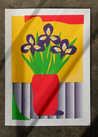 Image 1 of Irises
