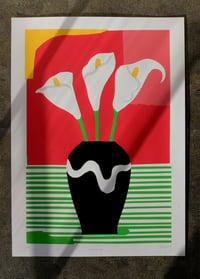 Image 1 of Calla Lillies