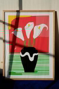 Image 4 of Calla Lillies