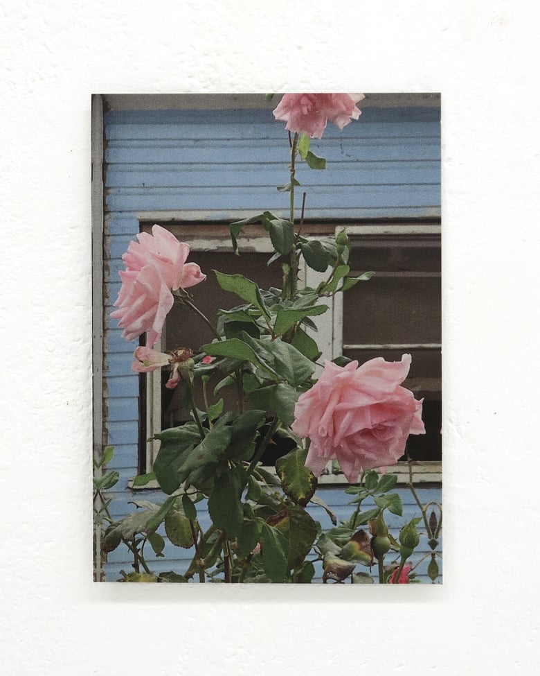 Image of Gabriella Lo Presti 'Country Poem'. Original artwork