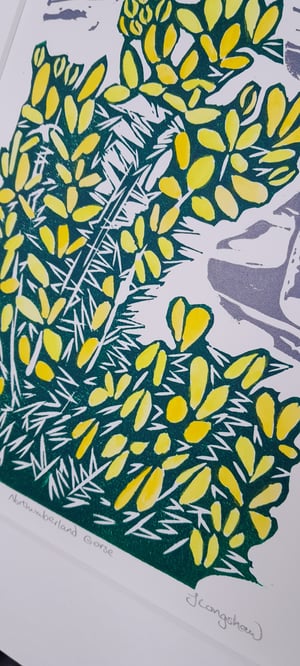 'Northumberland Gorse' Linocut Print 