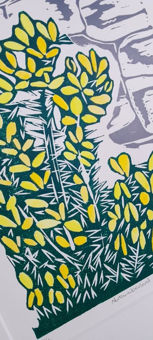 'Northumberland Gorse' Linocut Print 