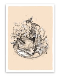 Image 2 of Rox - daylight edition - print