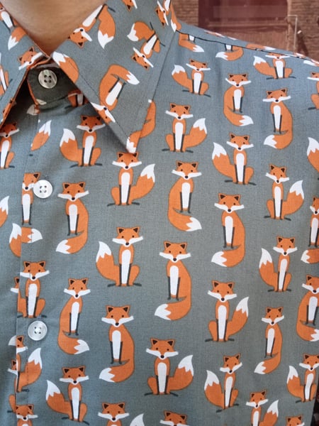 Image of  foxes 
