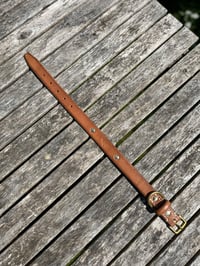 Image 5 of Kipling Collar