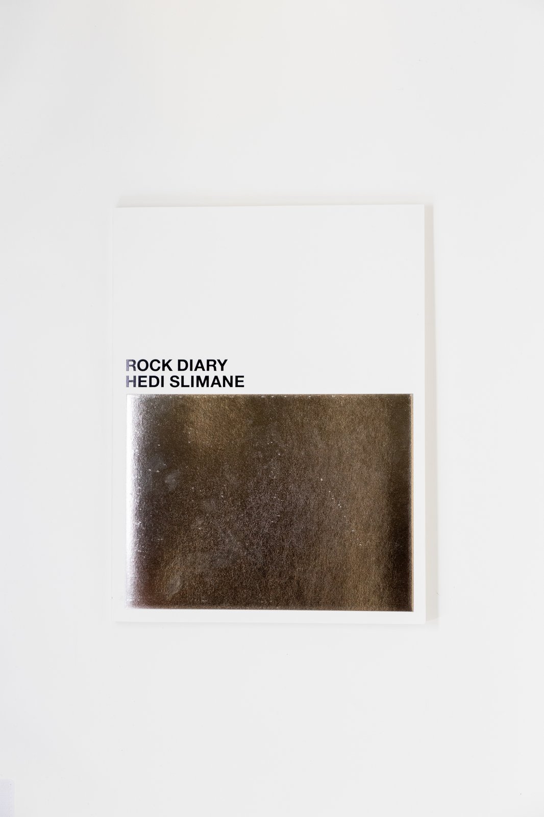 難あり】Hedi Slimane - Rock Diary エディ・スリマン 写真集 - アート 