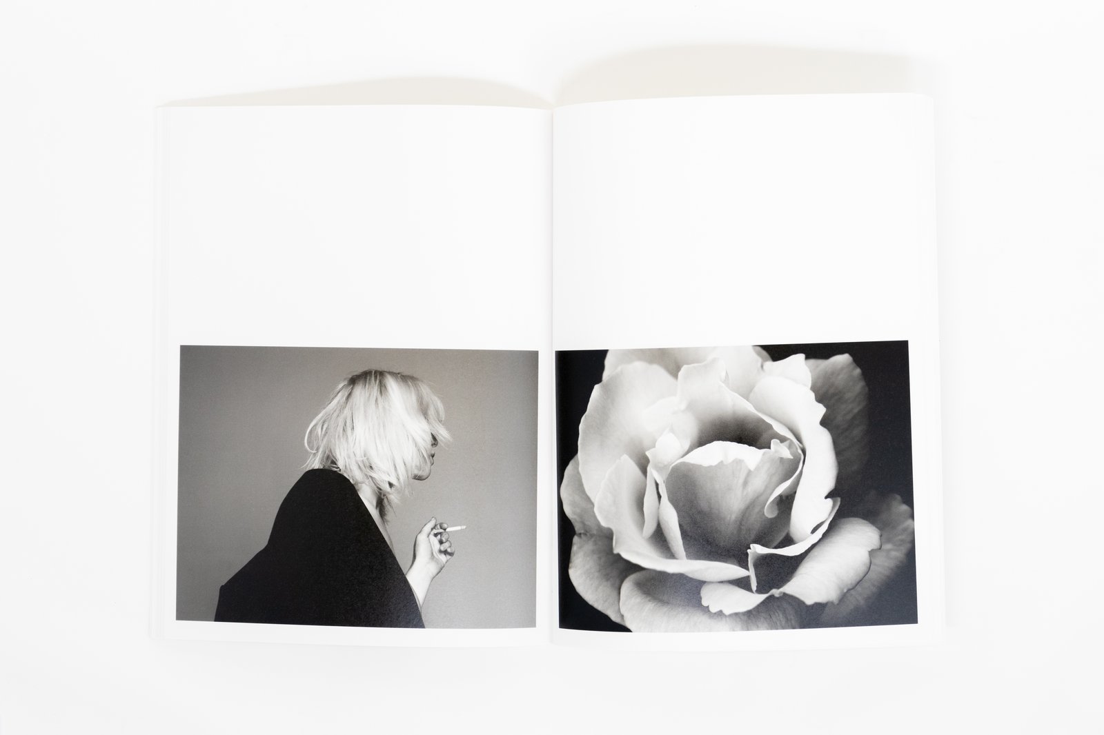 Hedi Slimane - Anthology of a Decade | Almine Rech Editions