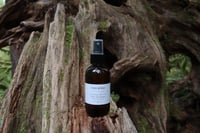 Image 3 of Hoh Rainforest Room & Linen Spray | Non-toxic fragrance | Phthalate free