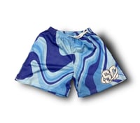 Blueprint Mesh Shorts