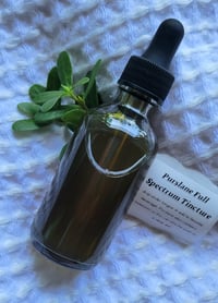 Image 1 of Purslane Full Spectrum Tincture 