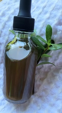 Image 3 of Purslane Full Spectrum Tincture 