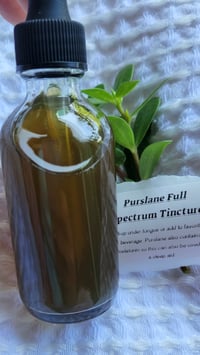 Image 4 of Purslane Full Spectrum Tincture 