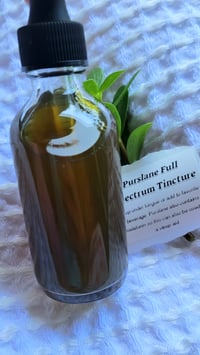 Image 5 of Purslane Full Spectrum Tincture 