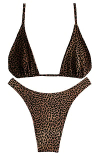 Image 2 of Drop Dead Gorgeous Bikini Set - XL 