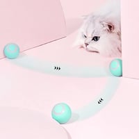 Auto rolling cat toy