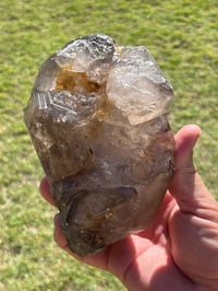Image 16 of Smoky Quartz Enhydro Multi Terminated Crystal | Zambia #2966 