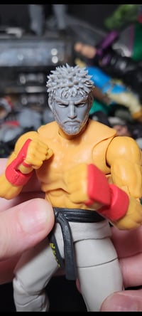 Image 1 of Street fighter heads! 