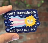 Image 1 of scare transphobes sticker