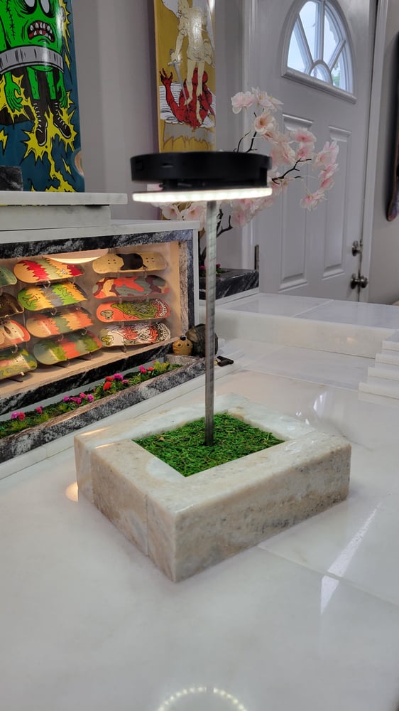 Image of MiniSkateSpots x Squawky Planter