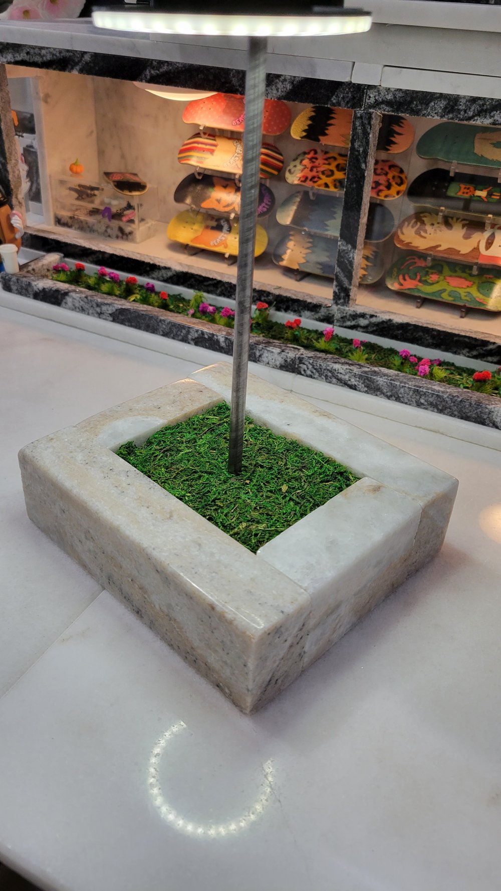 Image of MiniSkateSpots x Squawky Planter