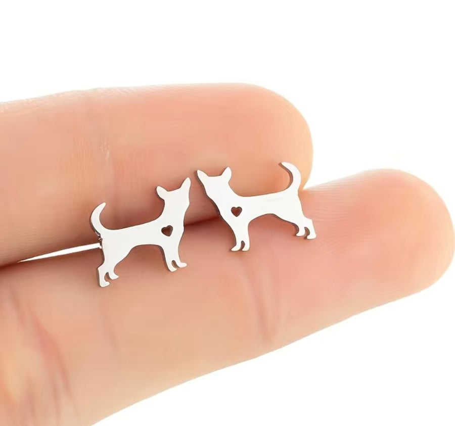 Image of tiny dog love studs