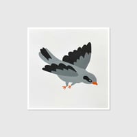 Blackbird - Original Illustration