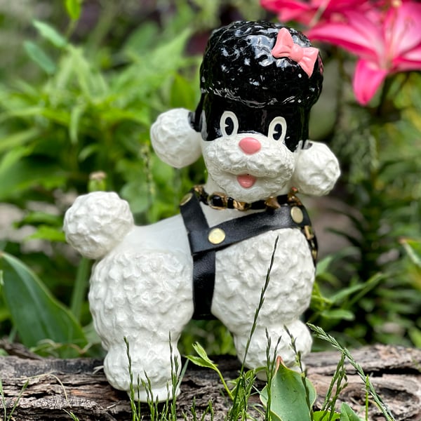Image of BDSM Poodle with Real Leather Harness