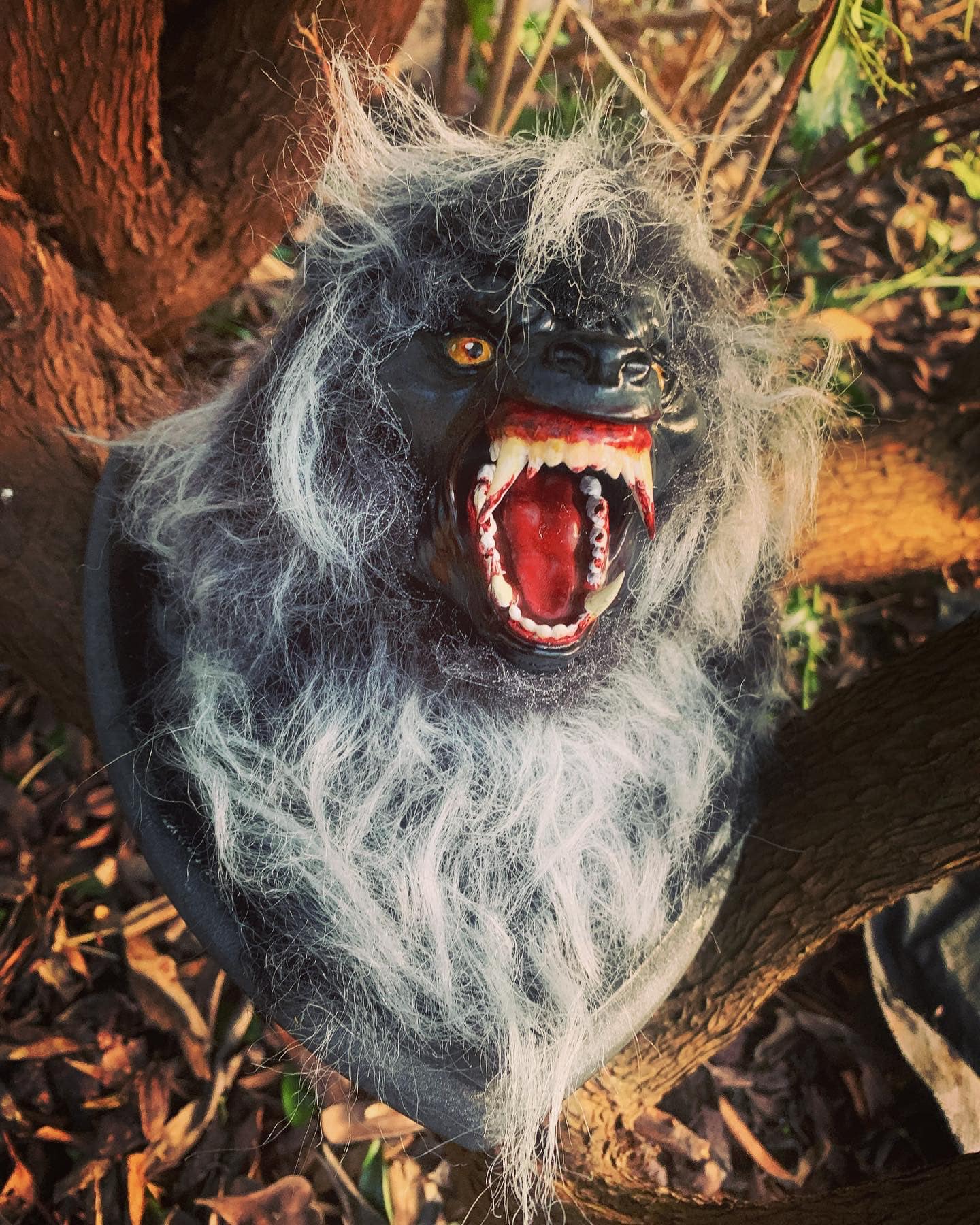 Image of American werewolf in London bust