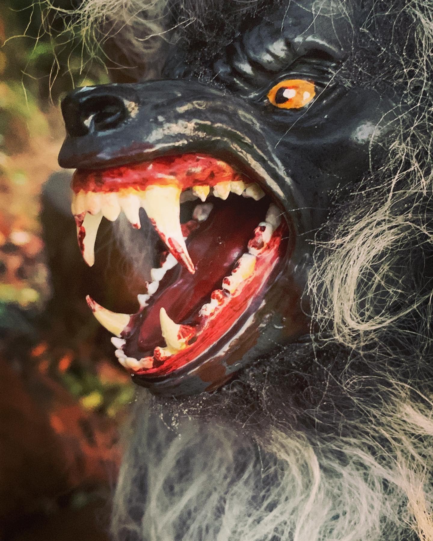 Image of American werewolf in London bust