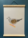 Turtle Dove Print 