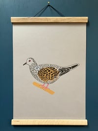 Image 2 of Turtle Dove Print 