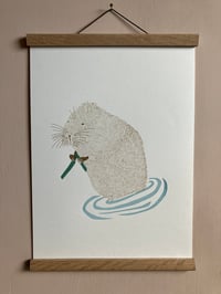 Image 2 of Water Vole Print 