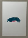Cuttlefish Print