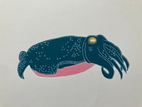Image 2 of Cuttlefish Print