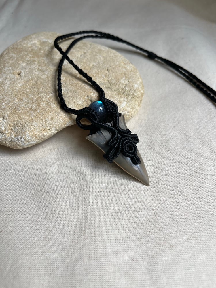 Image of     Macrame pendant with a fossilised shark tooth