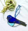 Idaho Bluebird 