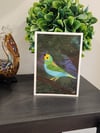 5" x 7" Giclee Art Print - Multicolor Tanager Bird