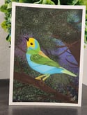 5" x 7" Giclee Art Print - Multicolor Tanager Bird