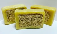 Grapefruit Luffa Bar