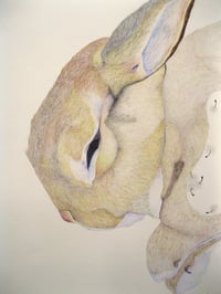 Image 2 of Hollow