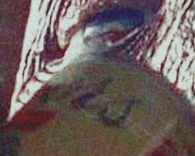 E.T. THE EXTRA-TERRESTRIAL