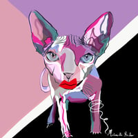 Image 1 of CHAT SPHYNX