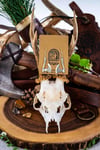  CELTIC AXE // Earrings 