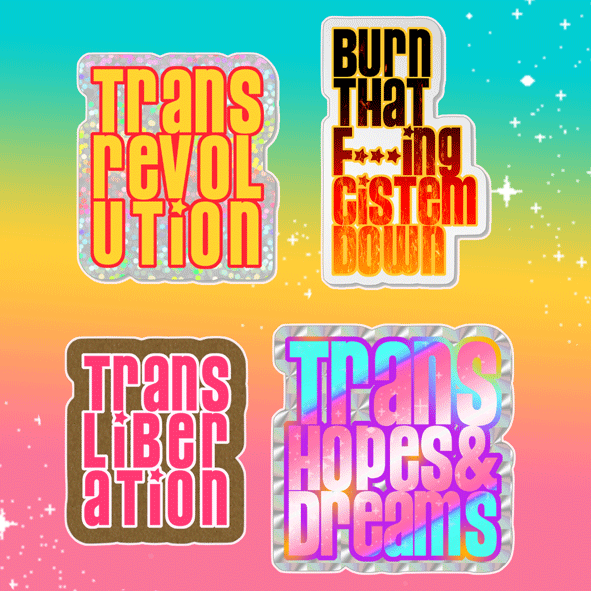 ✨  TRANS LOVE ✨  (stickers/ autocollants) 