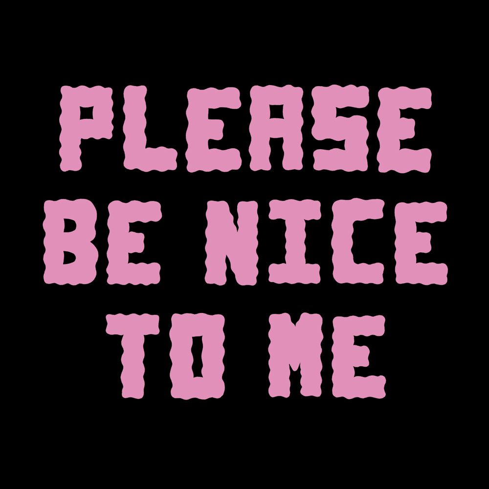 Please Be Nice To Me T-shirt